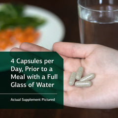 Standard Process GI Adsorb clinoptilolite shown as mineral-based GI aid.
