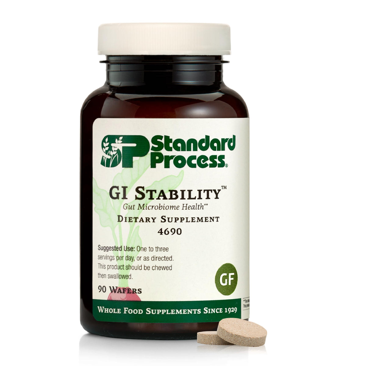 Standard Process GI Stability bottle front highlighting 90 wafers for daily gut support.