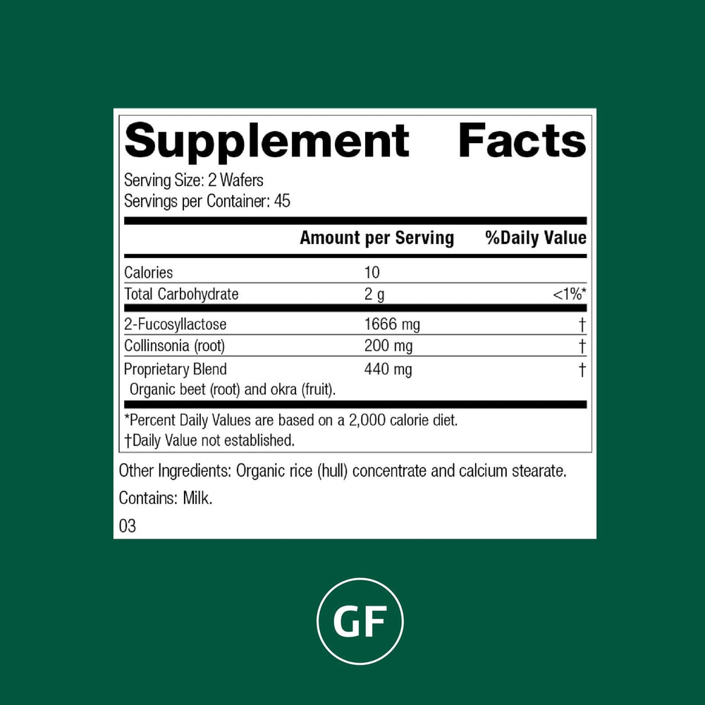 Standard Process GI Stability bottle label showing vegetarian, gluten-free, and non-soy features.