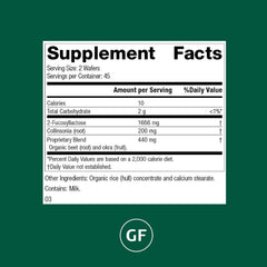Standard Process GI Stability bottle label showing vegetarian, gluten-free, and non-soy features.