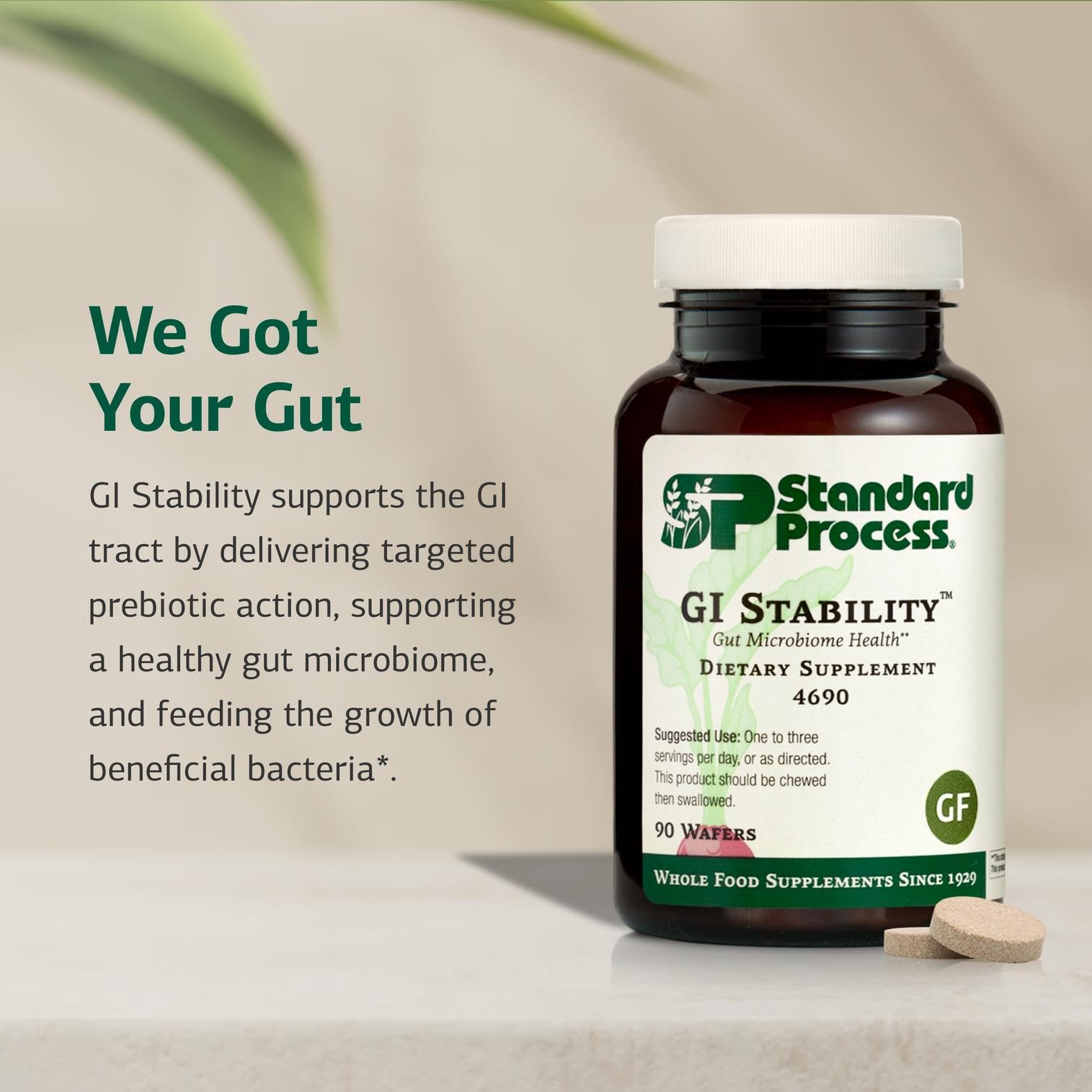 Standard Process GI Stability wafers closeup revealing uniform texture for easy daily dosing.