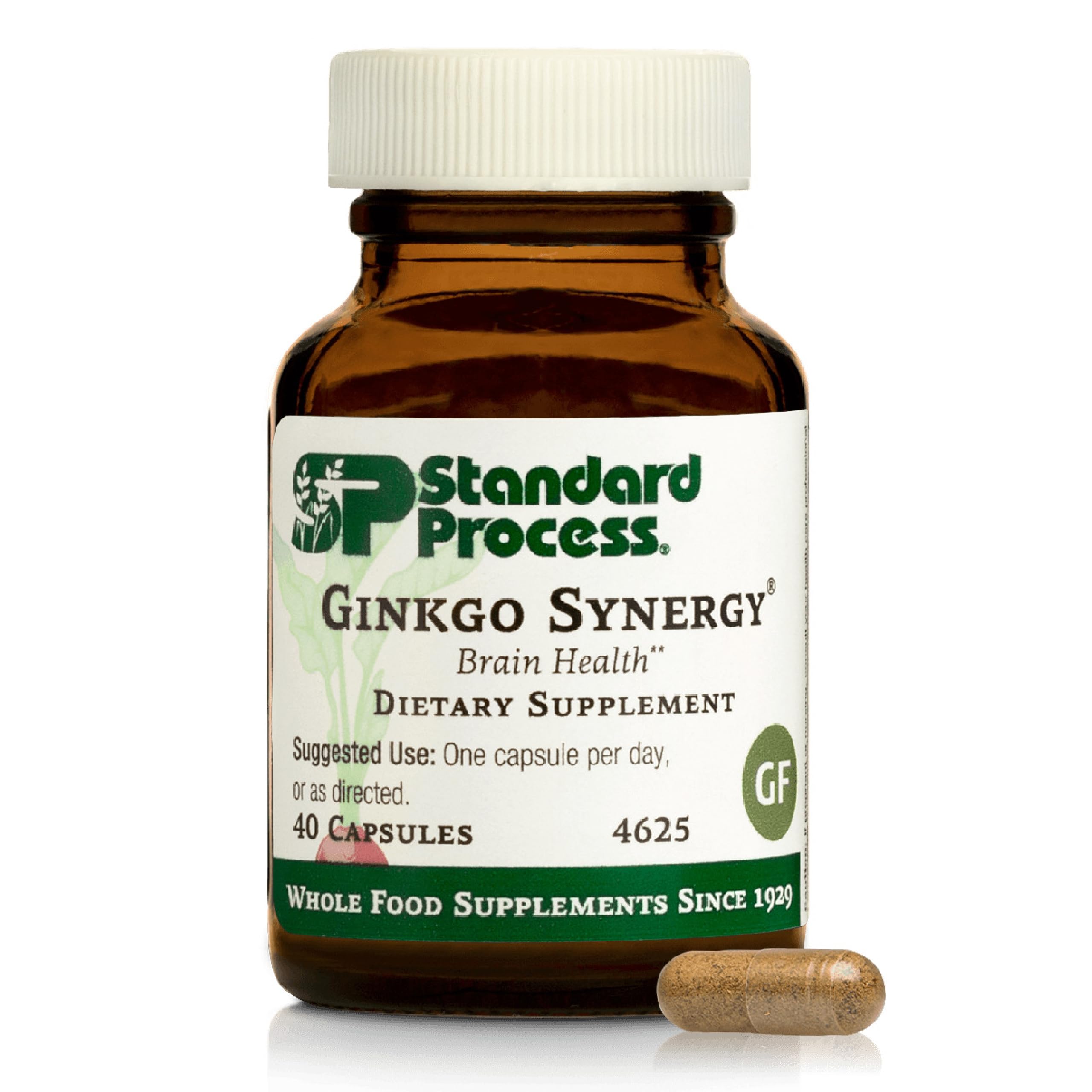 Standard Process Ginkgo Synergy bottle front view emphasizing brain health support