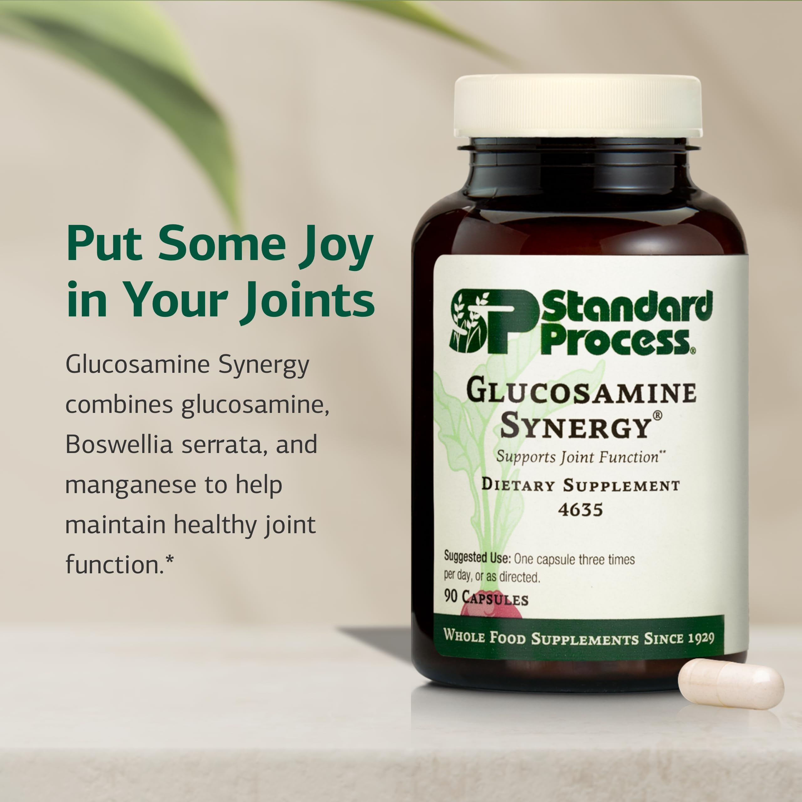 Close-up of Standard Process Glucosamine Synergy capsules for daily use.