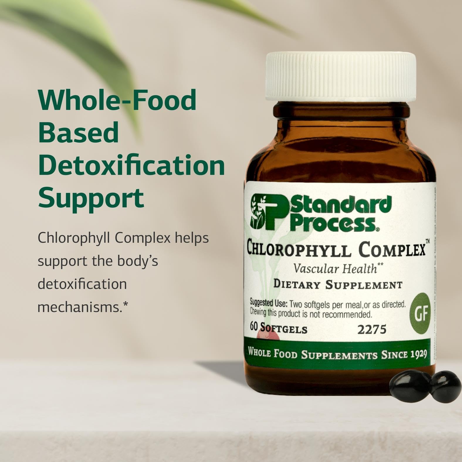 Standard Process Inc. Chlorophyll Complex ingredients packaging highlights vitamin A and buckwheat.