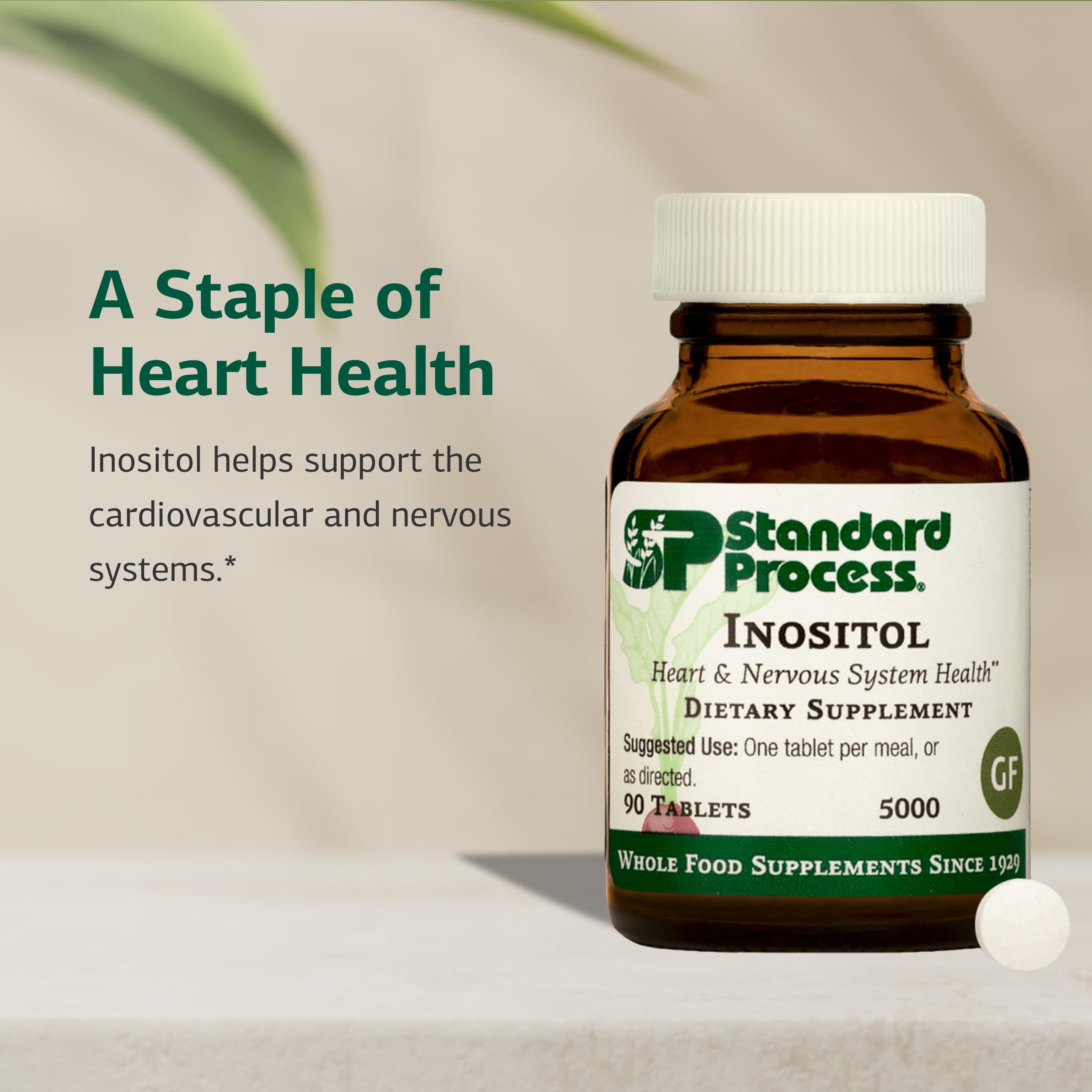 Standard Process Inositol nutrition label for ingredient transparency and quality.