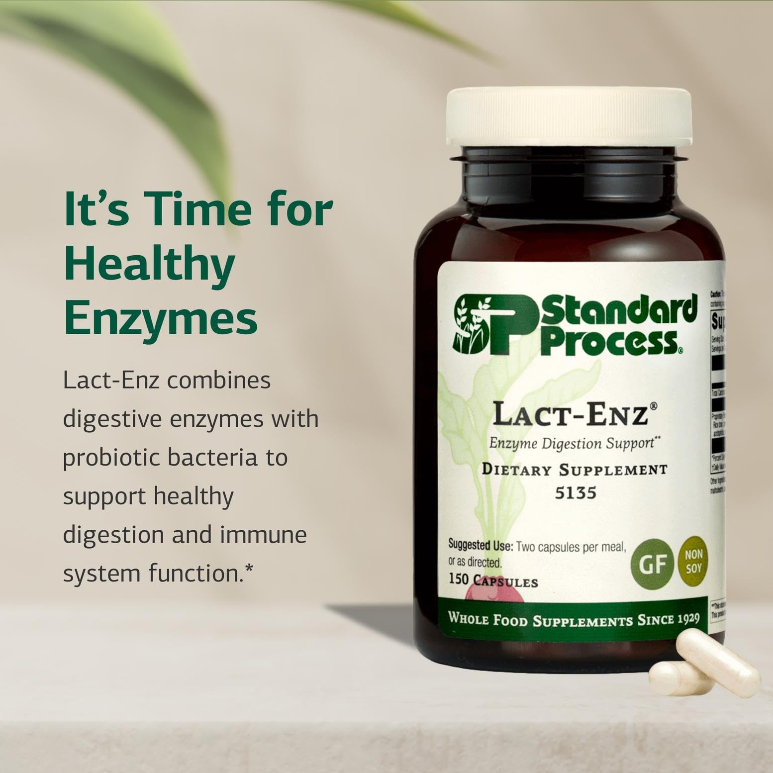 Lact-Enz product label showcasing probiotic digestive care.