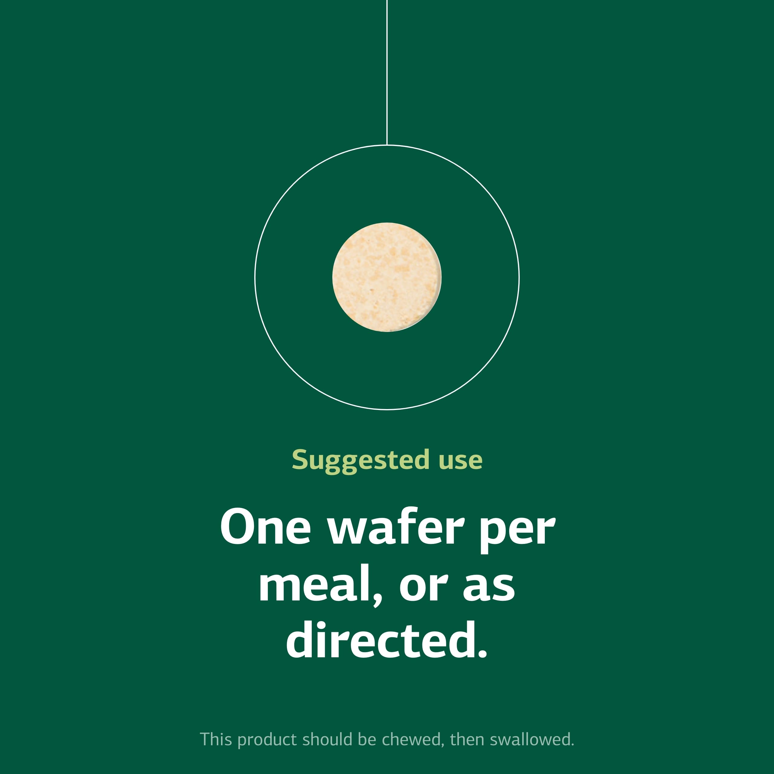 Wafer being prepared for daily use as part of a gut health routine.