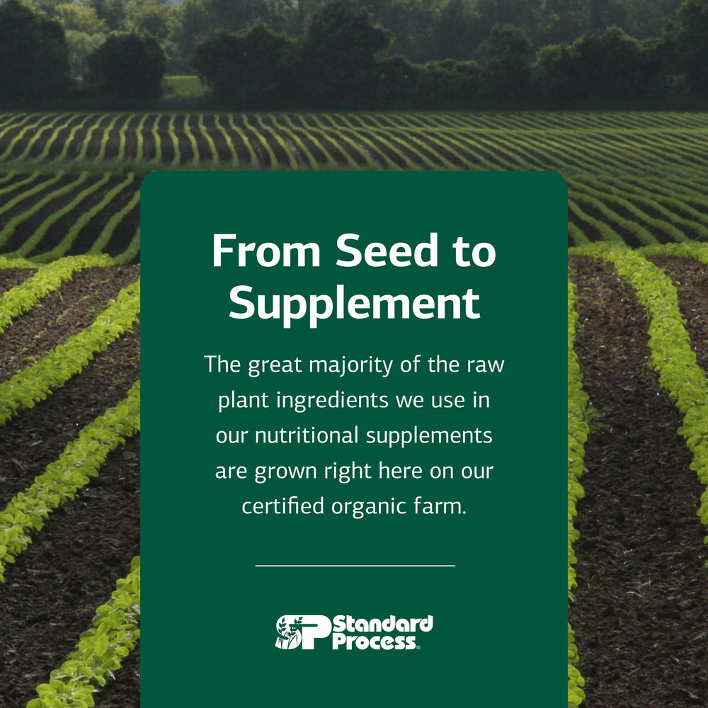 Vegan, non-soy formulation from Standard Process supports diverse dietary needs.