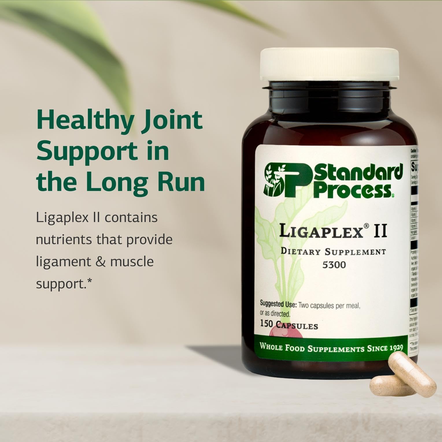 Standard Process Ligaplex II bottle side-label - clear nutrition details.