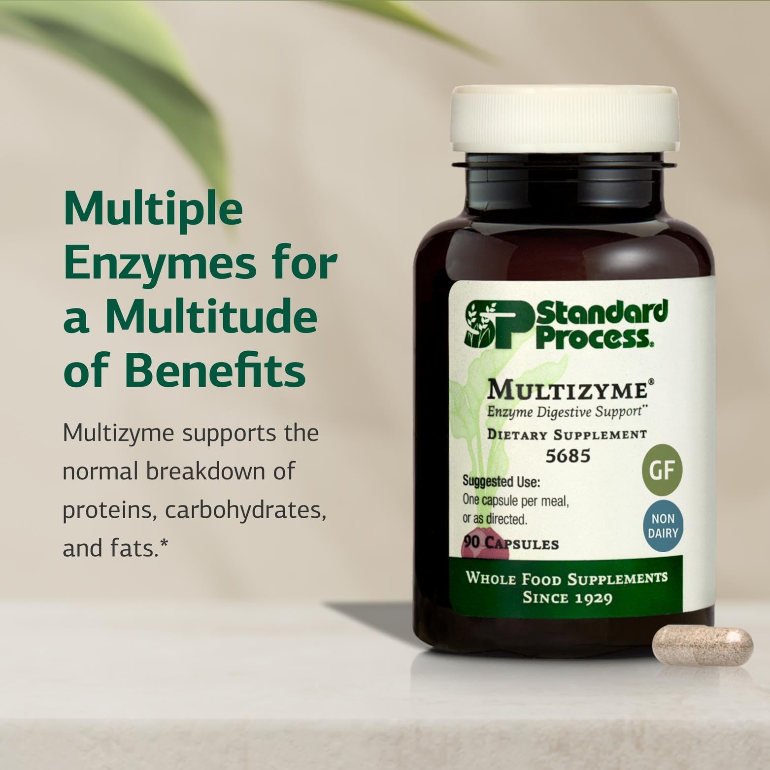 Standard Process Multizyme capsules close-up, showing soft gelatin shells and earthy presentation