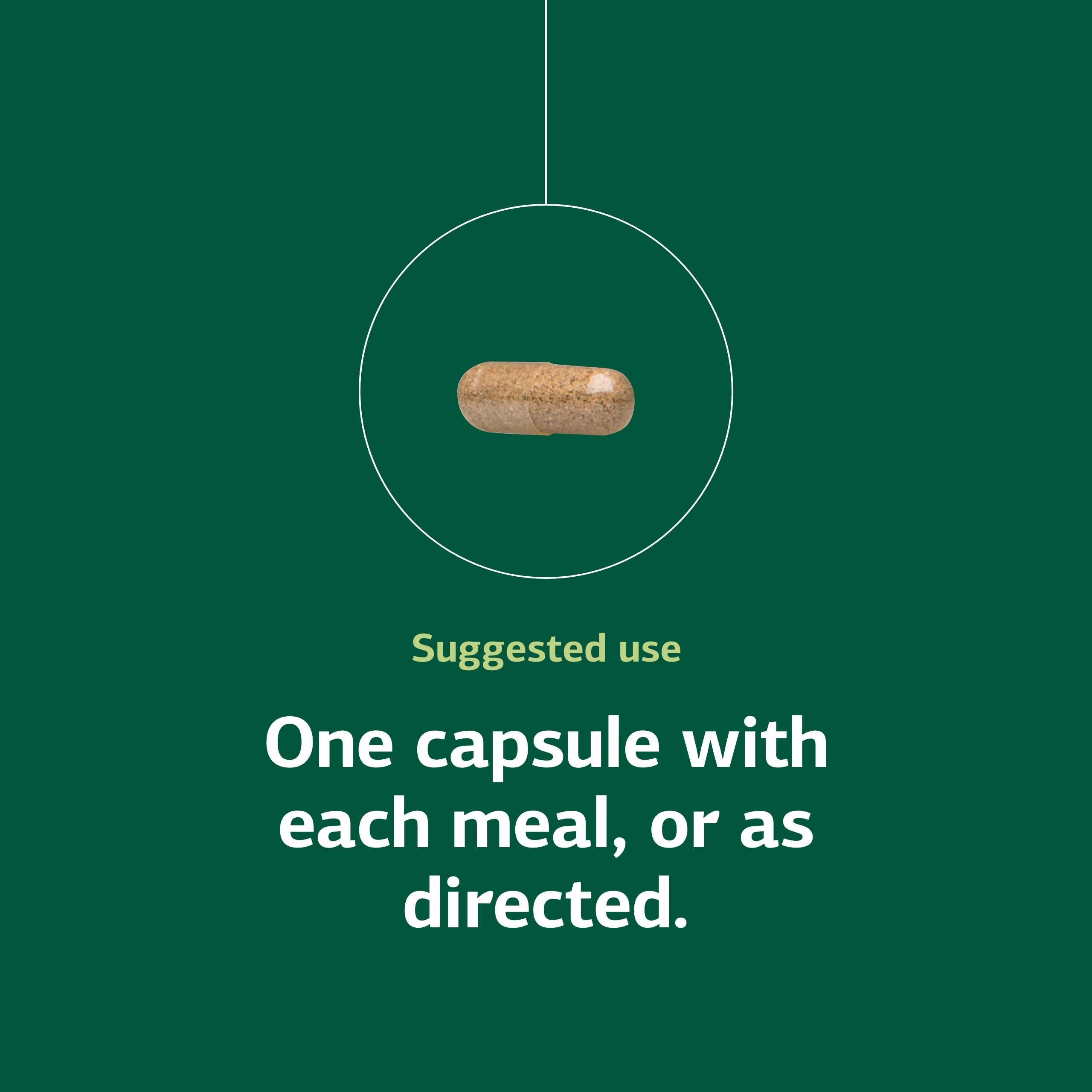Standard Process Multizyme digestive-graphic illustrating protein, carb, fat breakdown