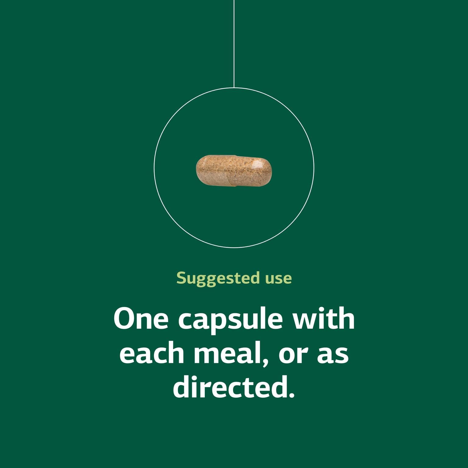 Standard Process Multizyme supplement facts panel close view for ingredient transparency