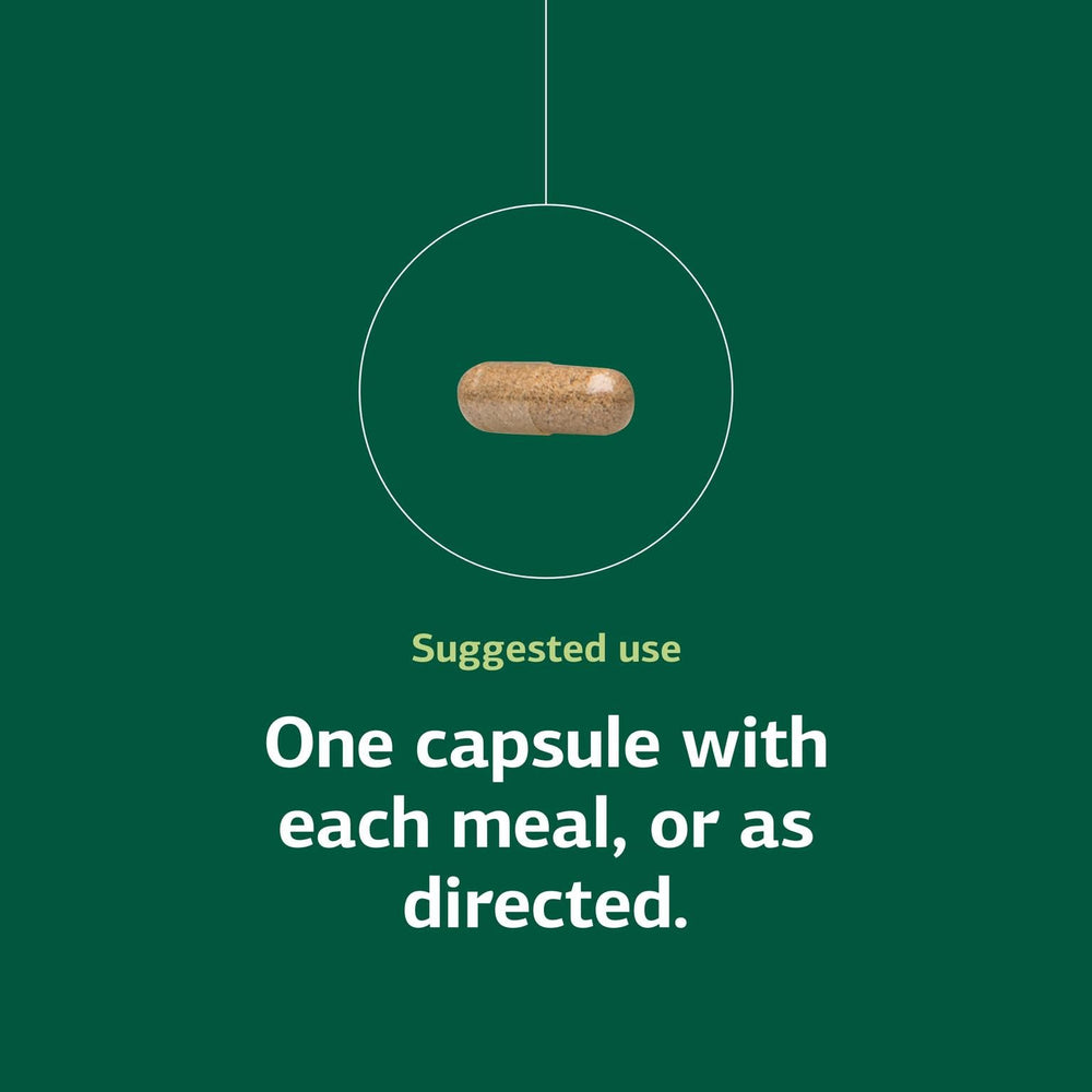 Standard Process Multizyme supplement facts panel close view for ingredient transparency