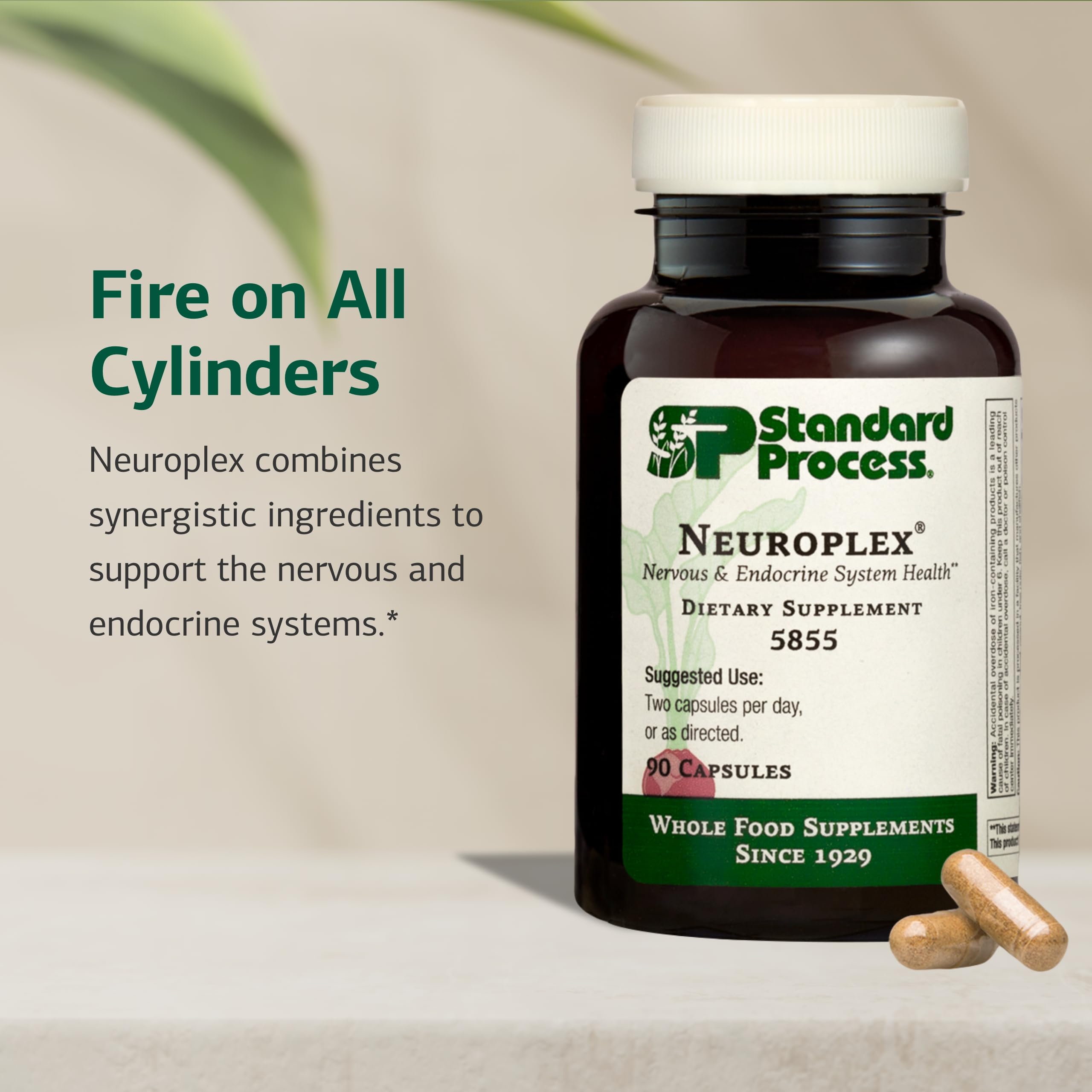 Two Neuroplex capsules ready for daily intake, illustrating a simple wellness routine.