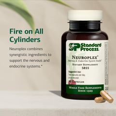 Two Neuroplex capsules ready for daily intake, illustrating a simple wellness routine.