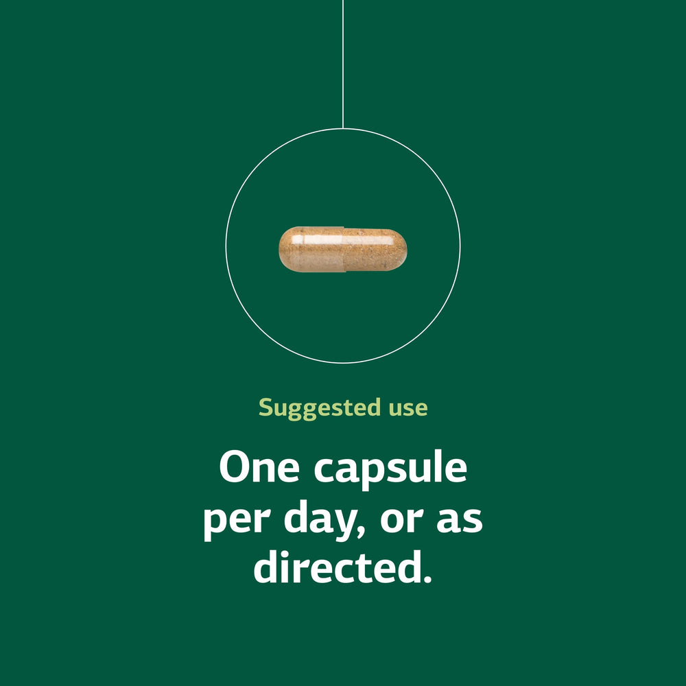 Gluten-free symbol on Standard Process Niacinamide B6 label.