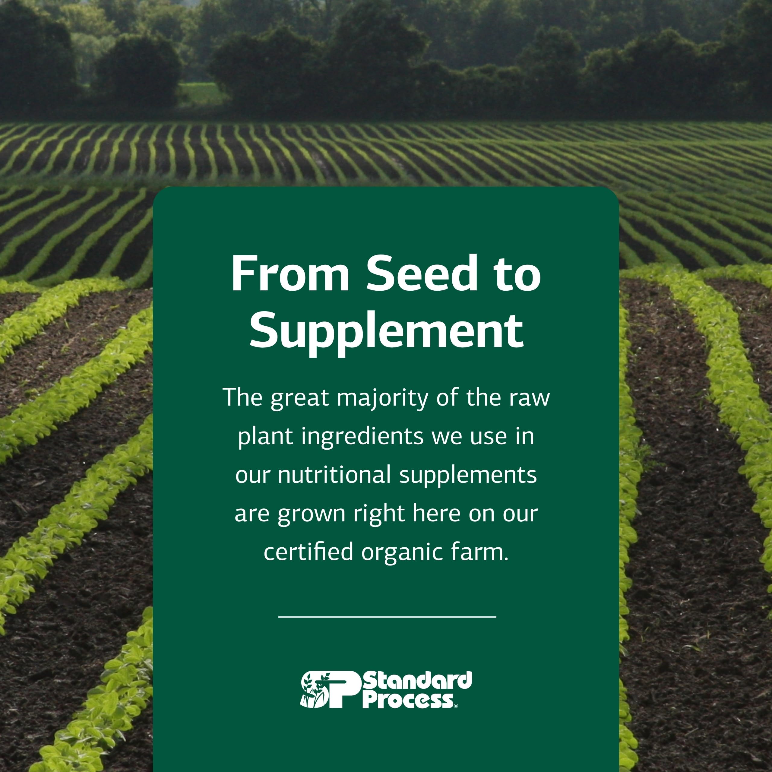 Okra Pepsin E3 dietary supplement from Standard Process supports digestion routines.