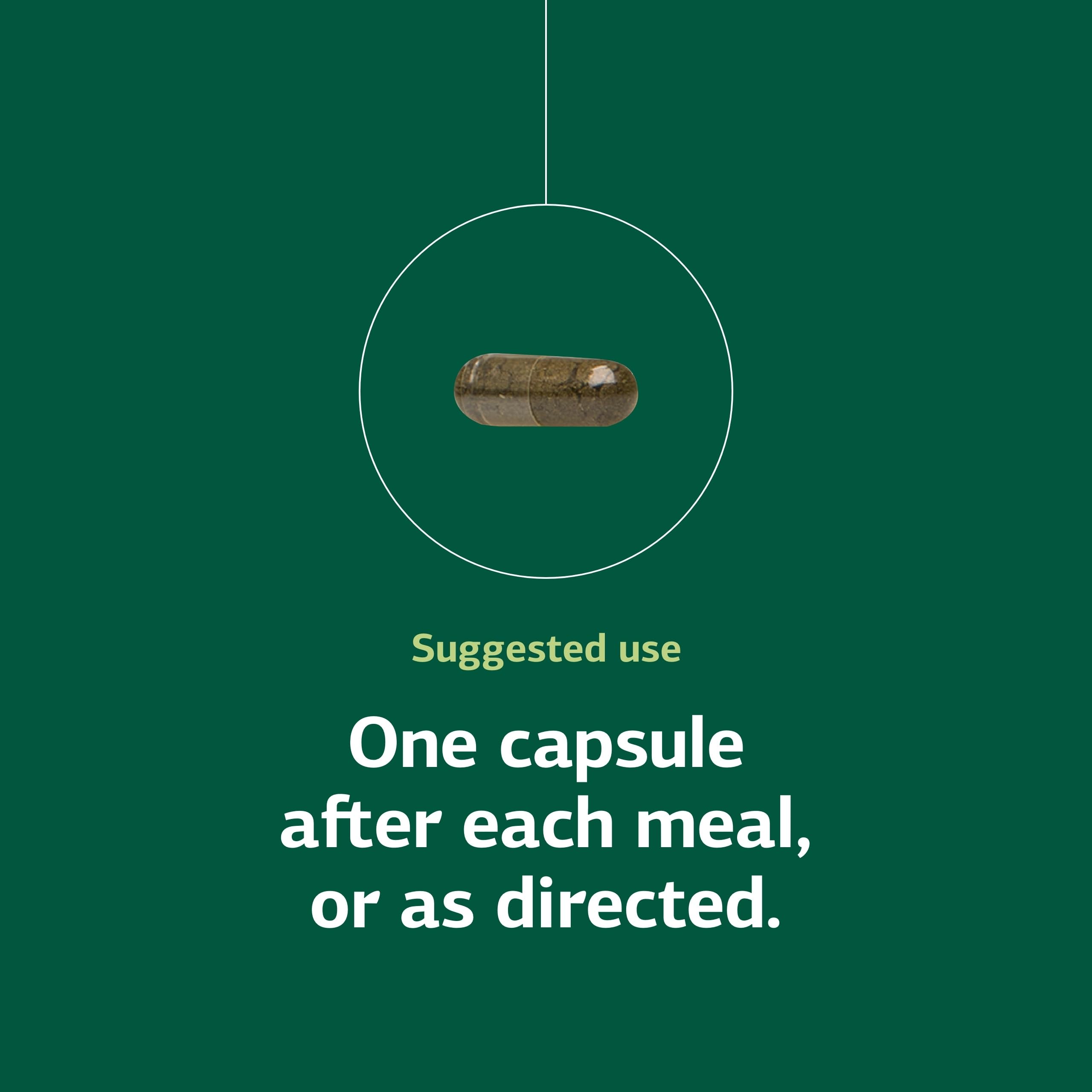 Okra Pepsin E3 gut-support image signaling digestive wellness on the go.