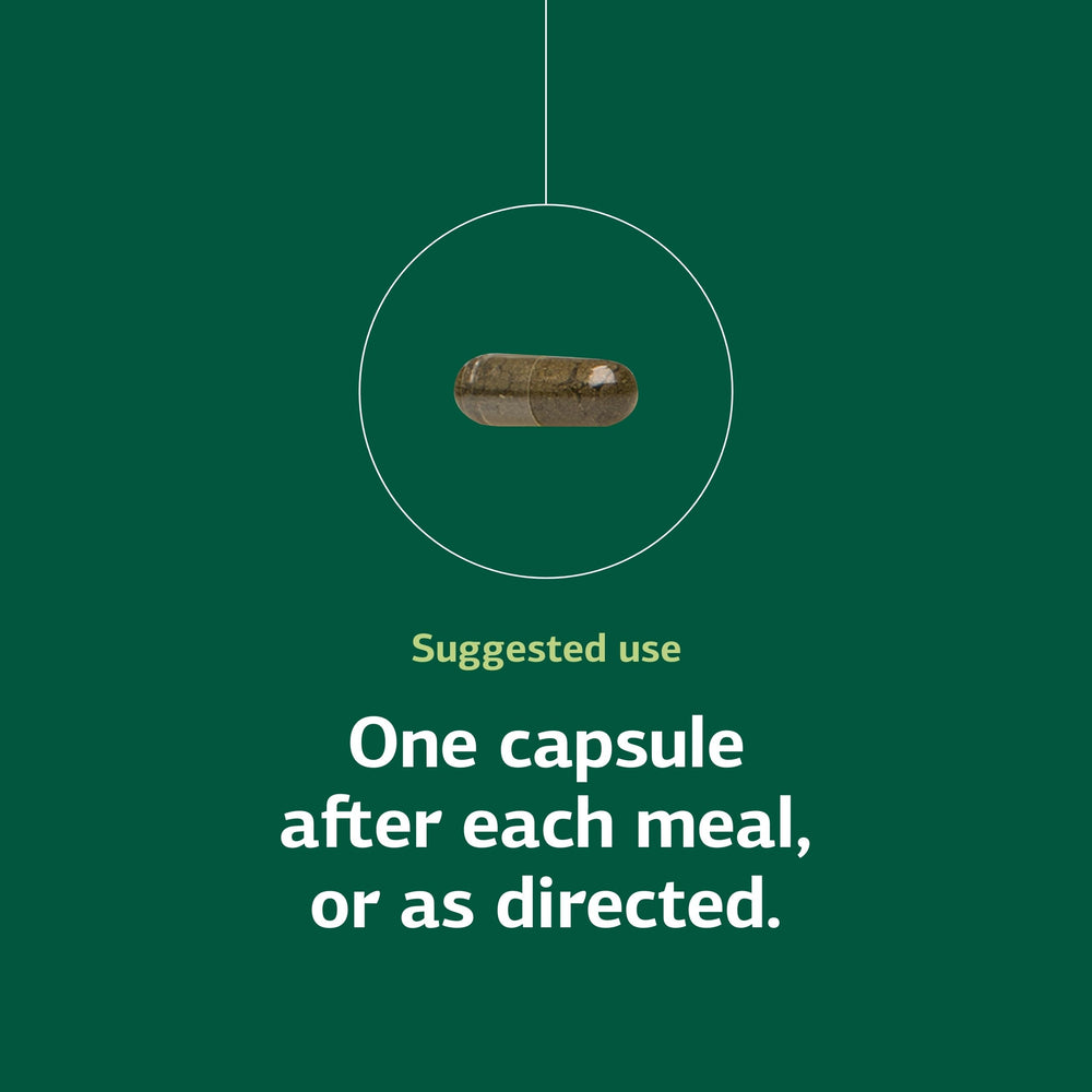 Okra Pepsin E3 gut-support image signaling digestive wellness on the go.