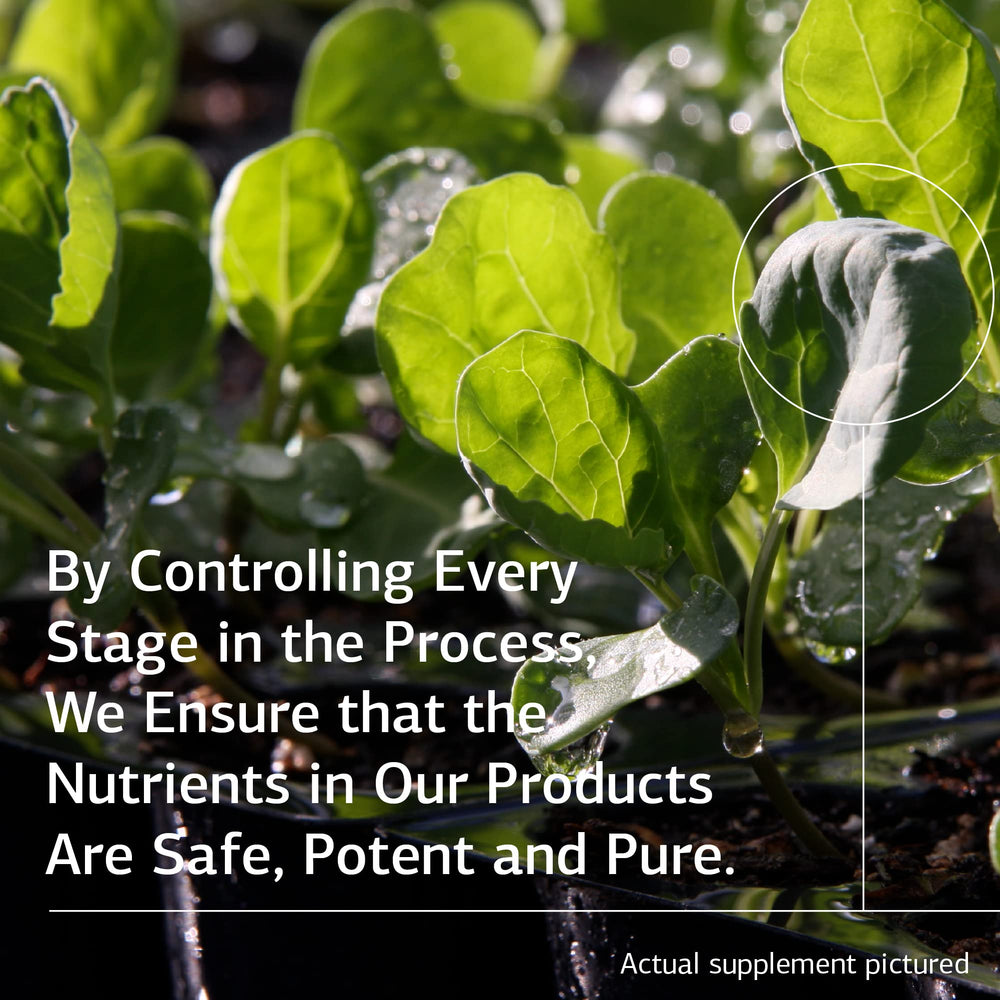 Standard Process Prost-X packaging ready for daily routine
