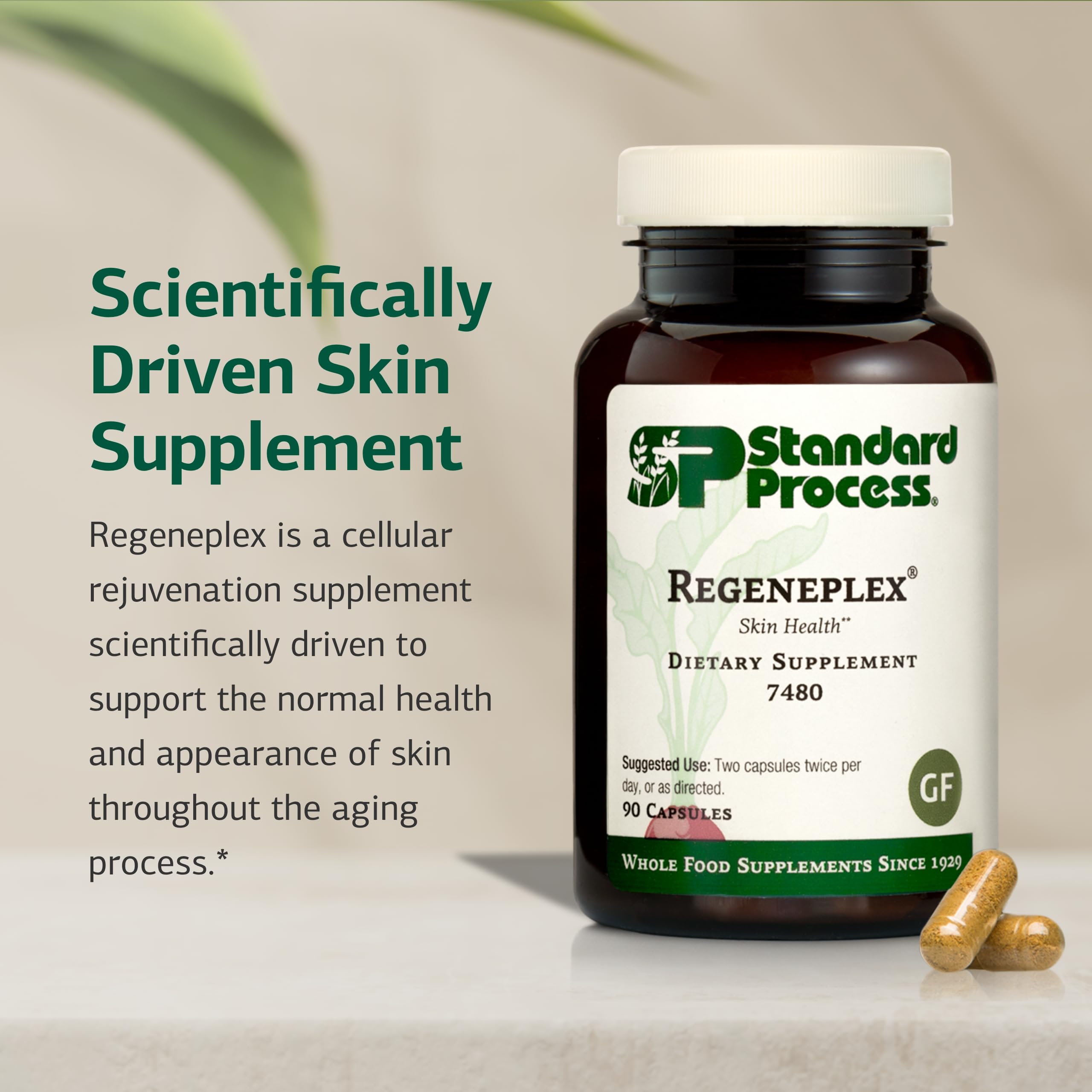 Standard Process Regeneplex packaging box on display for skin health.