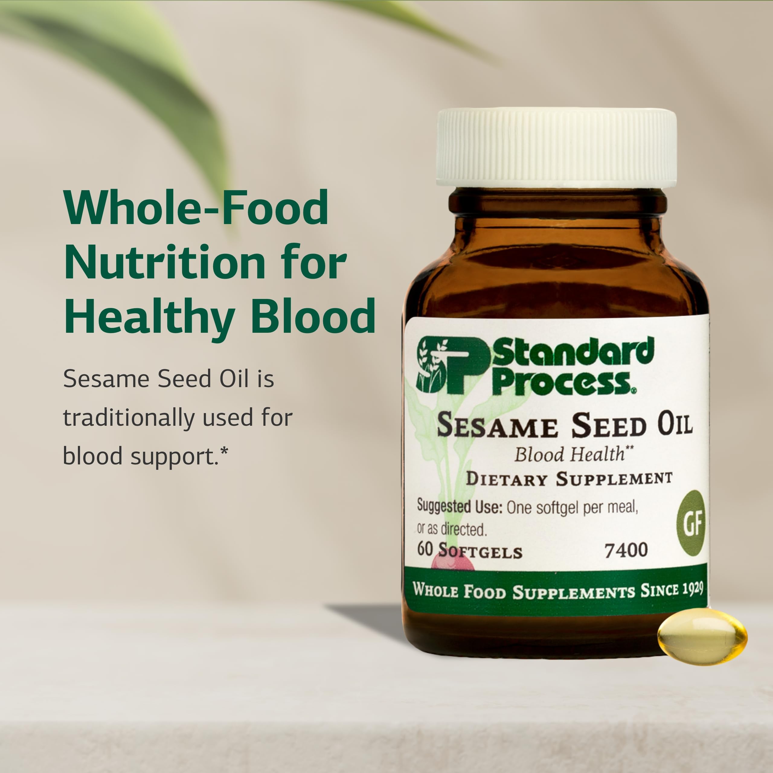 Close look at Standard Process sesame seed oil softgels capsules ready to swallow