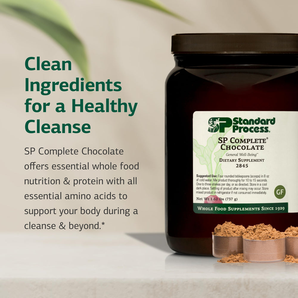 Standard Process SP Complete chocolate powder scoop — convenient plant-based protein for daily use
