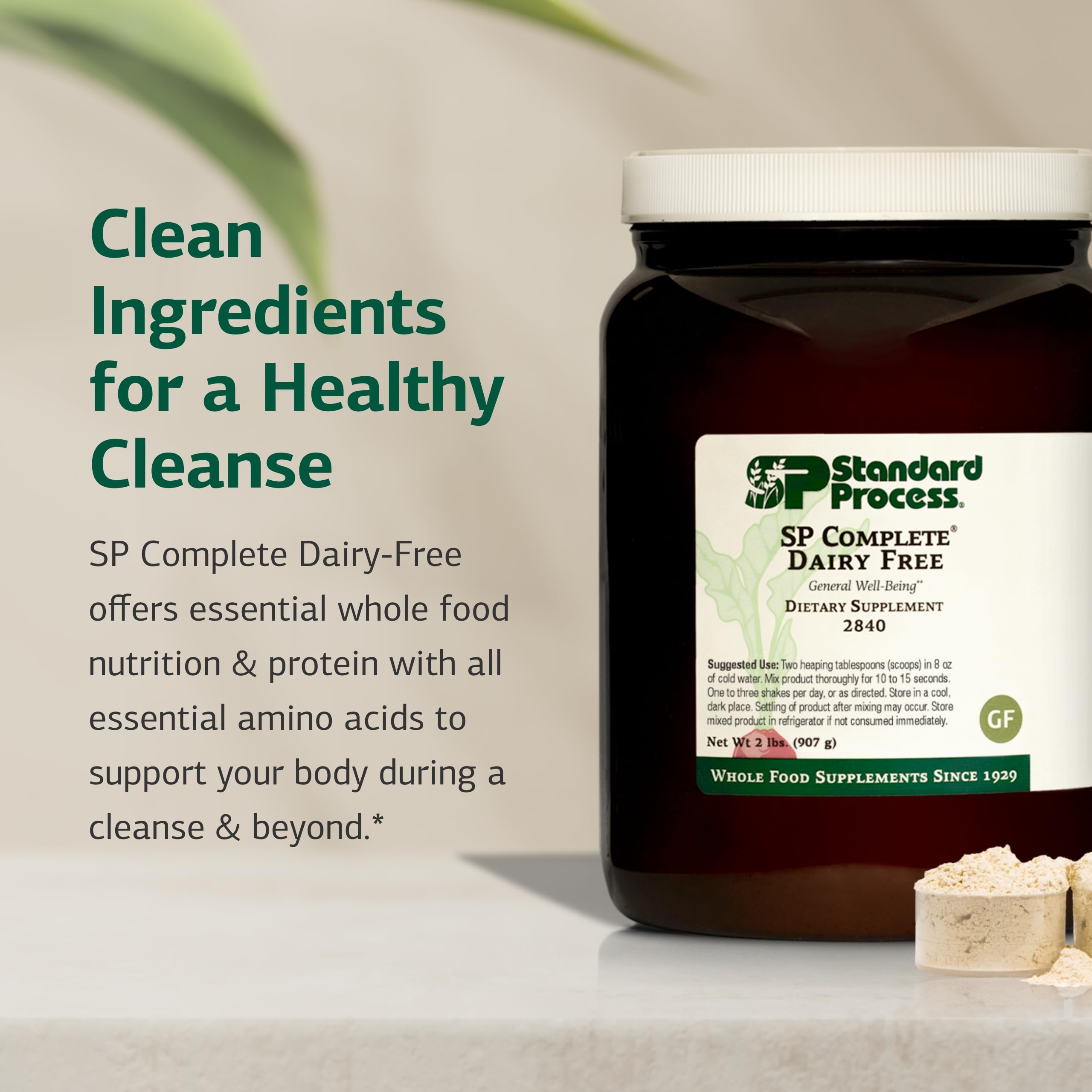 Standard Process SP Complete Dairy-Free rice protein powder serving cup emphasizes clean plant protein