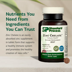 Standard Process Zinc Chelate capsules ready for daily use.