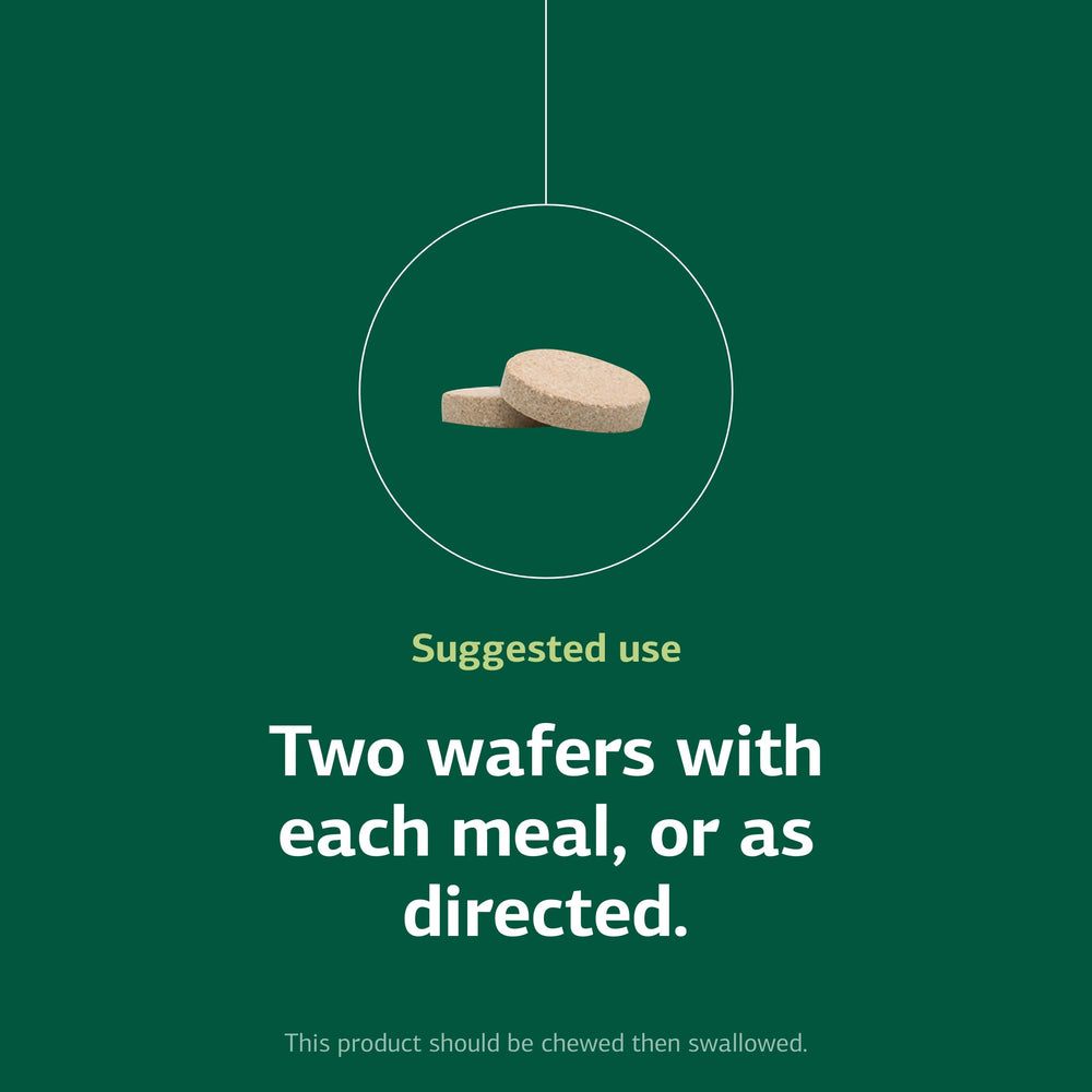 Standard Process Zymex Wafers vegan icon, vegetarian, non-soy formulation.