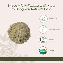 Starwest bladderwrack powder scoop, highlights aroma and flavor potential in recipes.