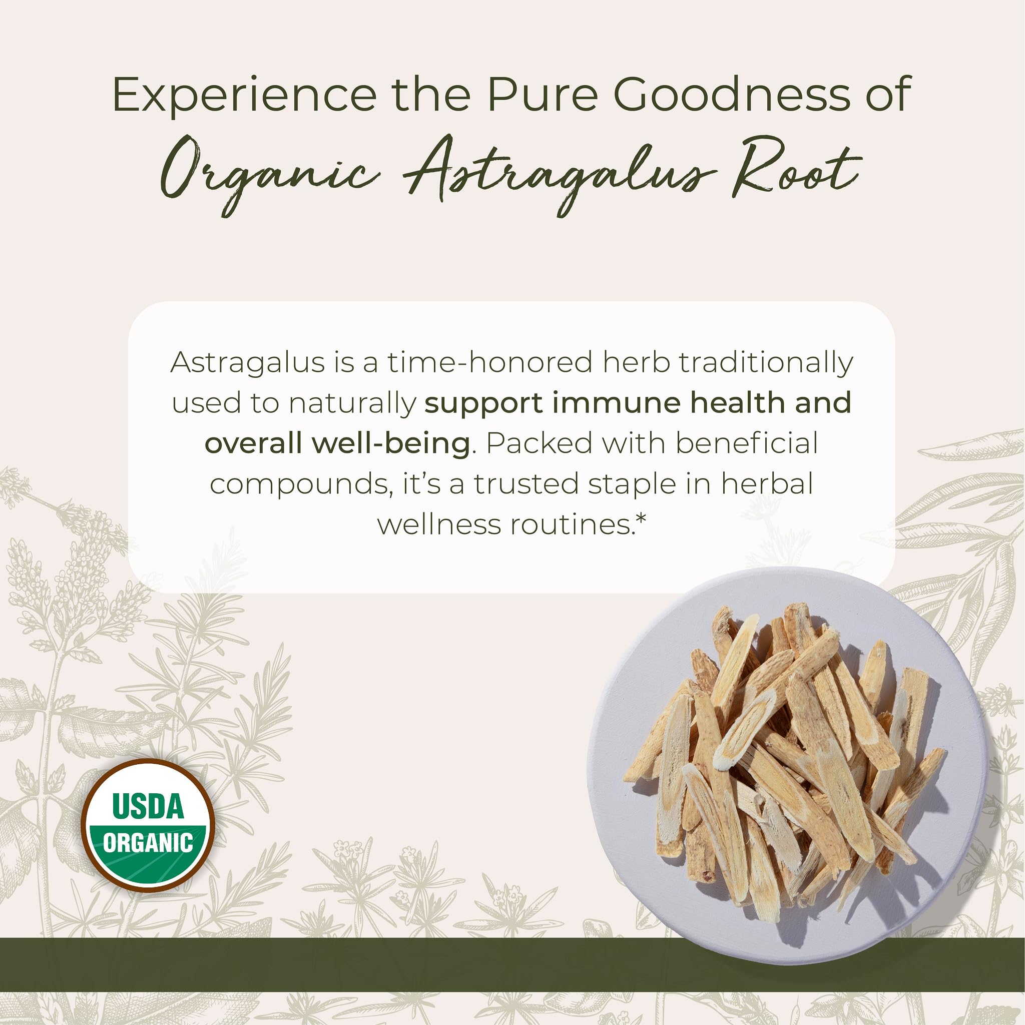 Starwest Botanicals Astragalus root tea in cup highlighting mild earthy aroma.