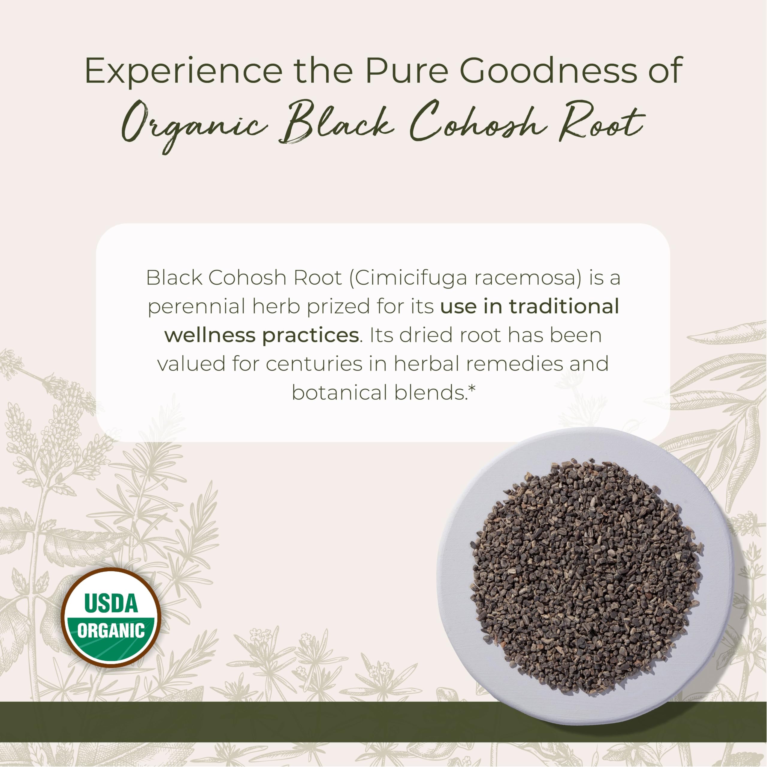 Starwest Botanicals Black Cohosh root close-up shows earthy texture for tinctures.