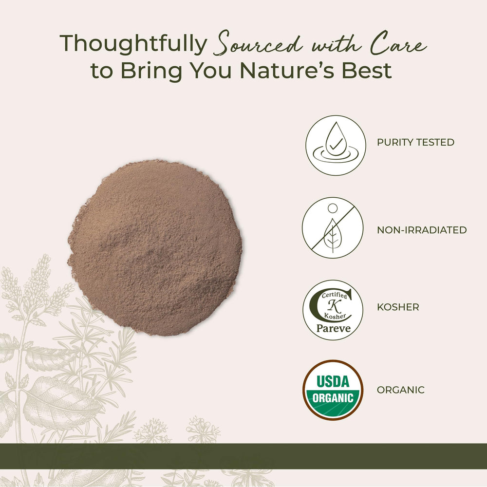 Kosher, non-GMO burdock root powder from Starwest for versatile culinary uses.