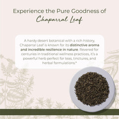 Starwest Chaparral leaf cut-sifted ready for infusion