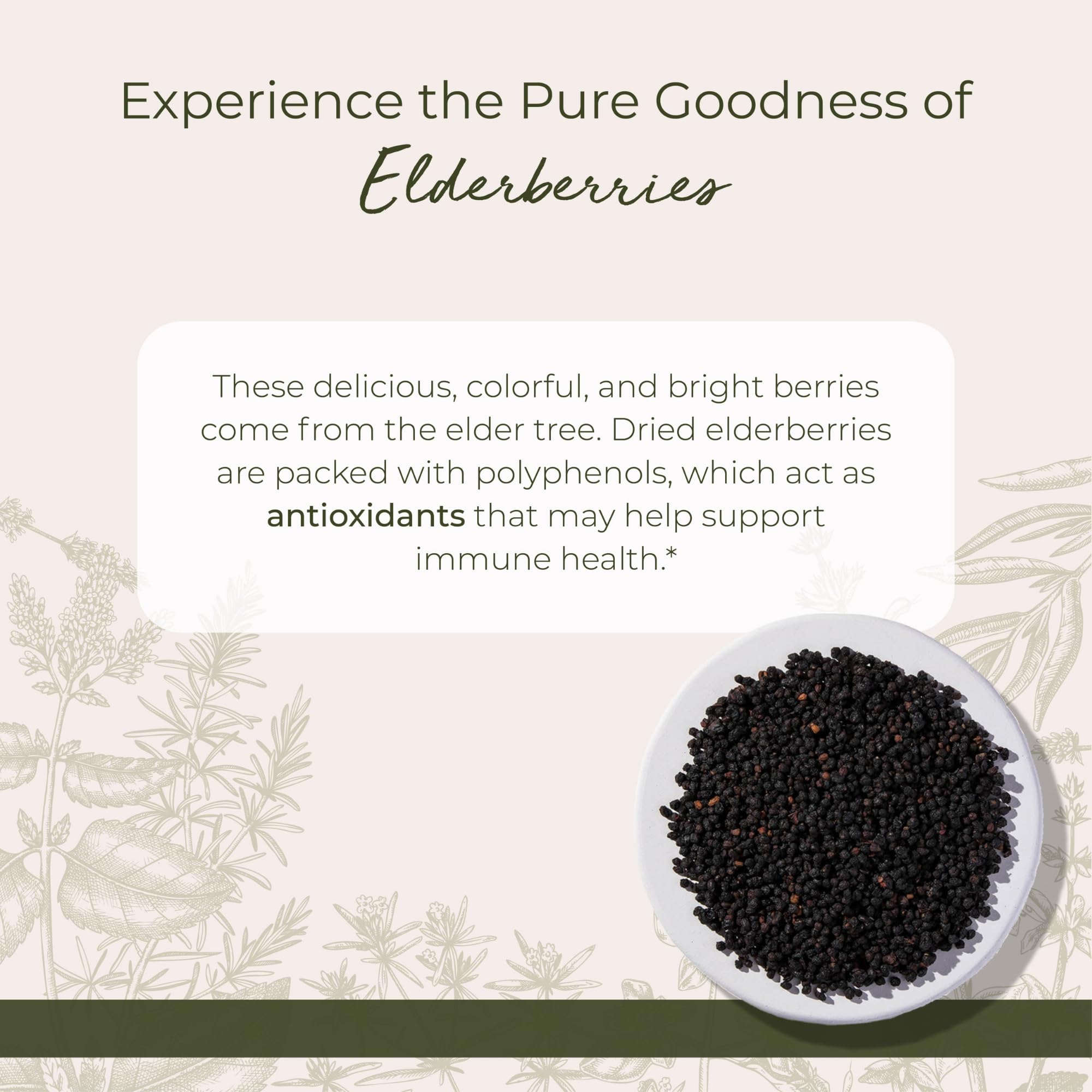 Starwest Botanicals whole elderberries in a bowl, ideal for cooking and tea blends.