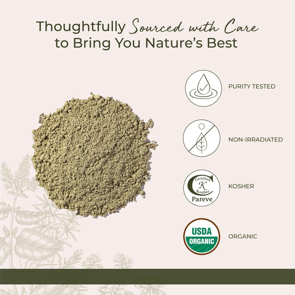Starwest Botanicals Organic Kelp Powder in soup bowl for savory enhancement.