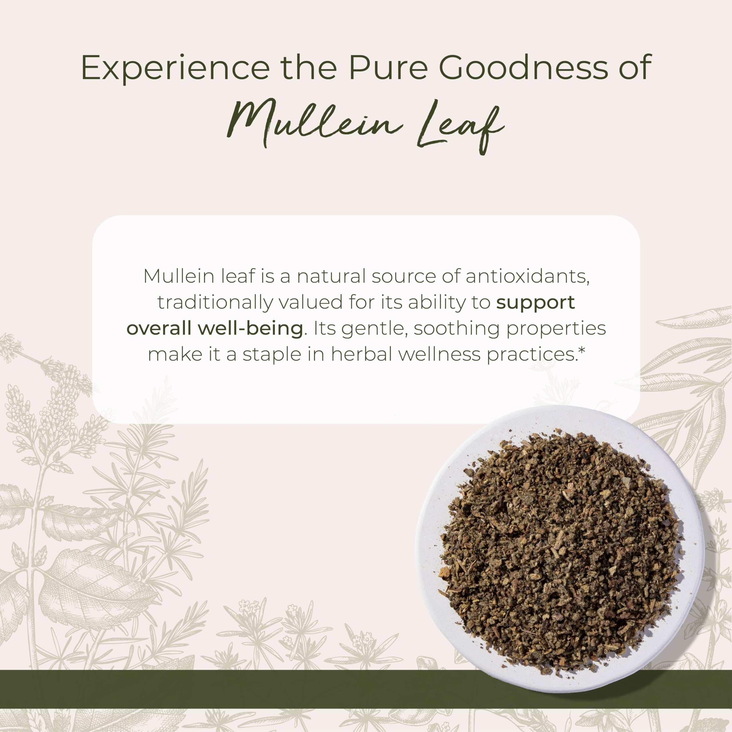 Starwest Botanicals Mullein Leaf cut-sifted bag ready for easy brewing