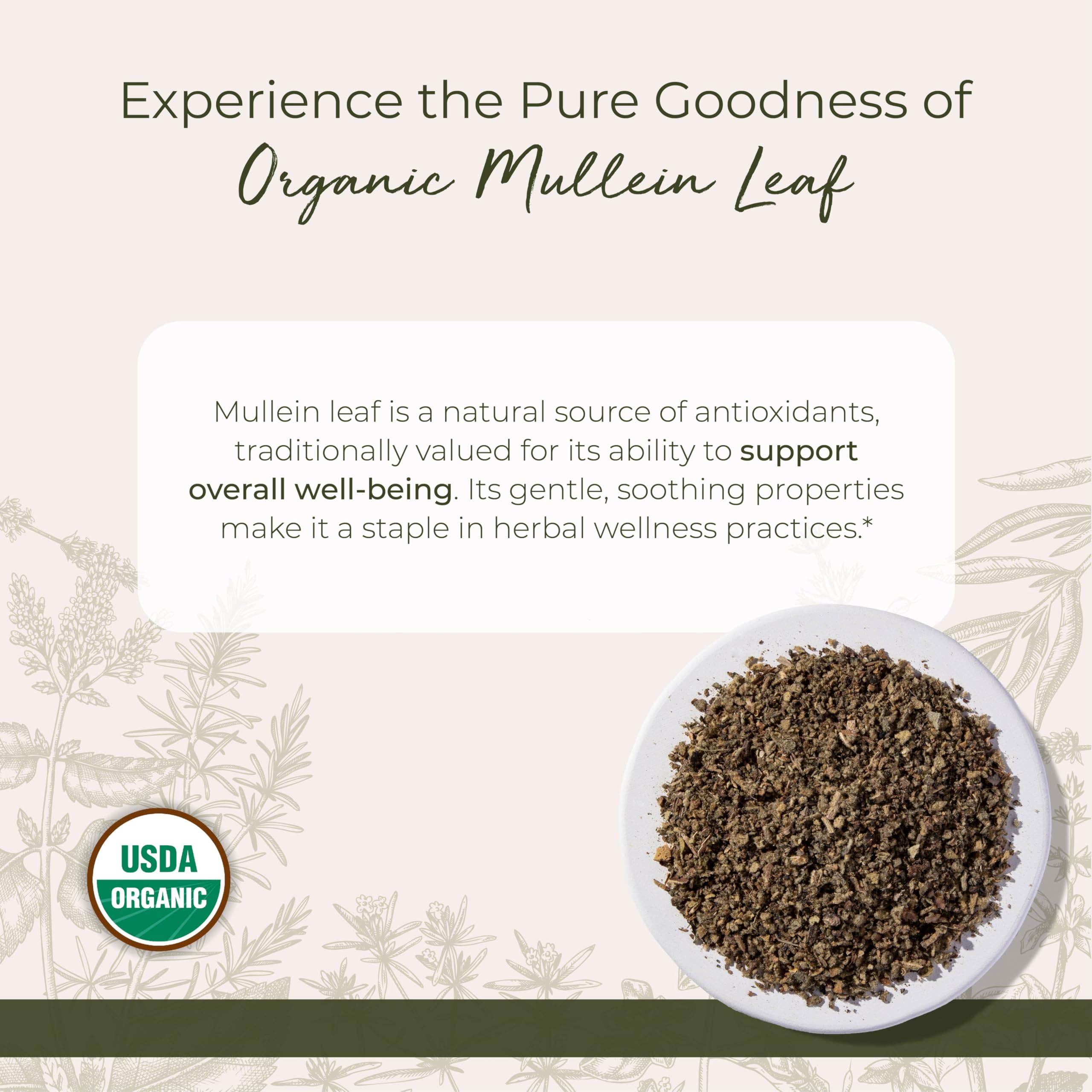 Starwest Botanicals Mullein leaf loose leaves, antioxidant-rich base for home tea crafting.