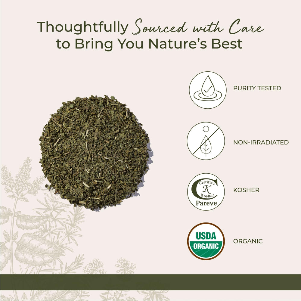 Starwest Botanicals nettle leaf sprig in a bowl for fresh herbal flavor.