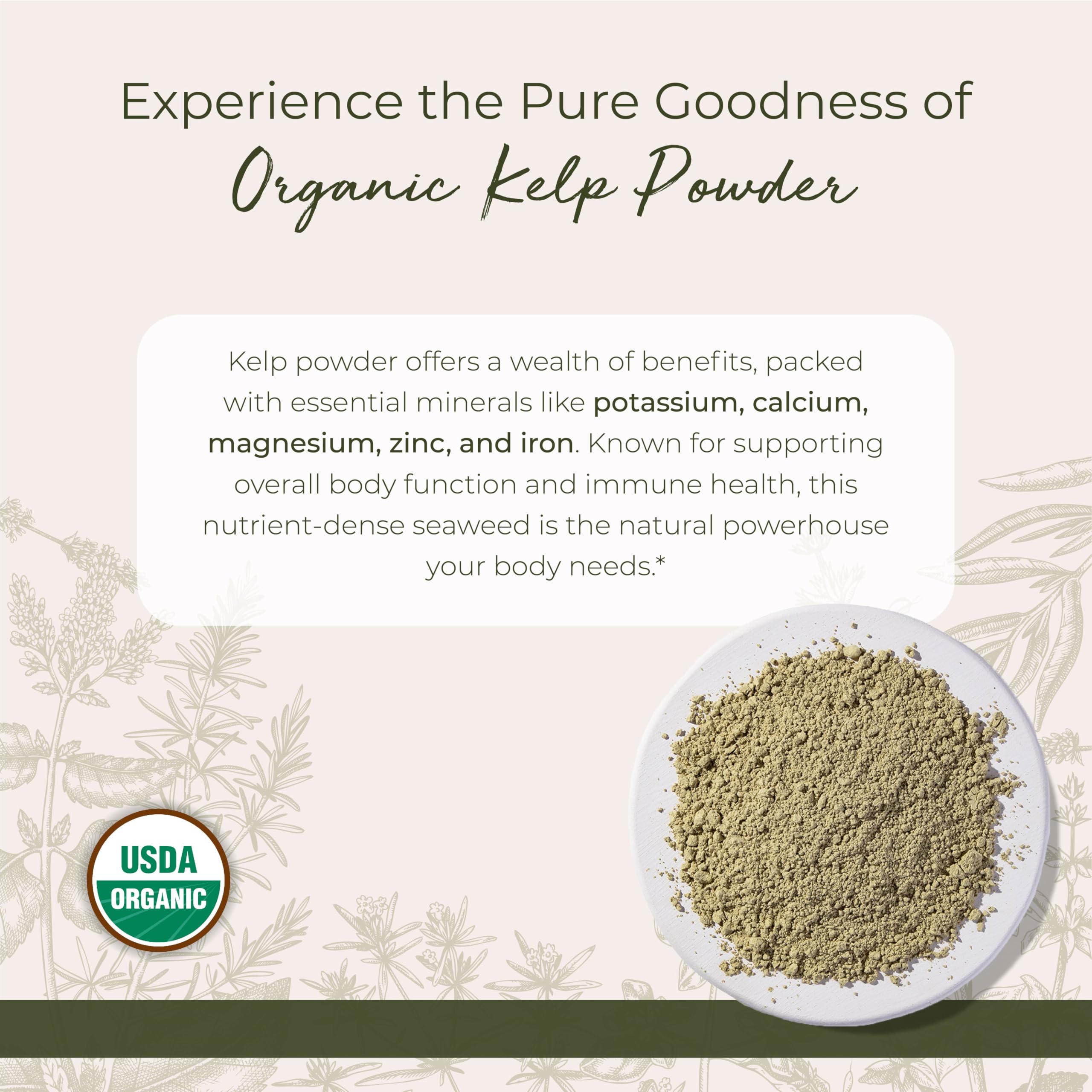Starwest Botanicals Organic Kelp Powder scoop beside bag for easy portioning.