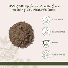 Measuring spoon with Starwest Kava Kava Root Powder for dosing