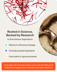 STASIS Daytime label panel detailing CoQ10 and Rhodiola for focus and mood.