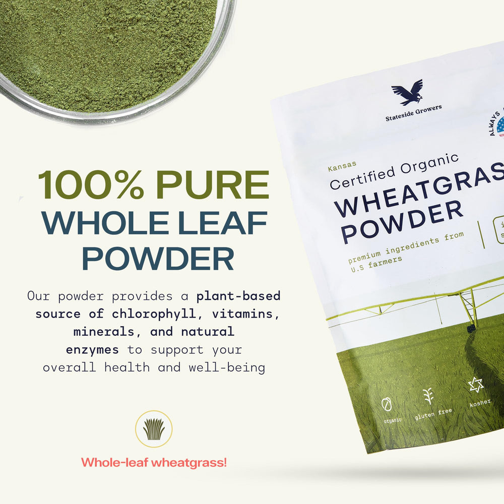 Stateside Growers wheatgrass powder scoop showing precise portion.