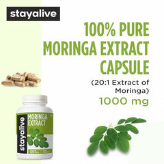 Stay Alive Moringa leaf powder close-up shows pure quality.