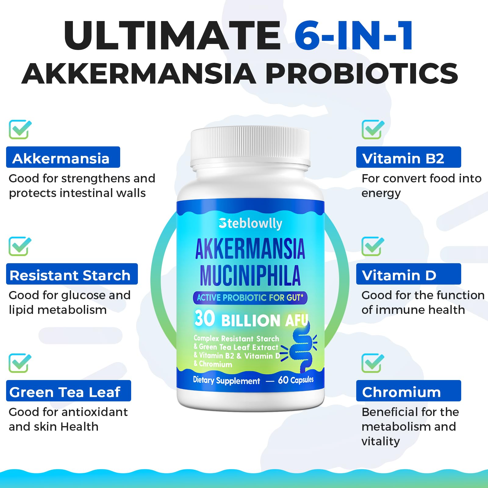 Steblowlly Akkermansia ingredients with green tea leaf and resistant starch emphasize synergy.