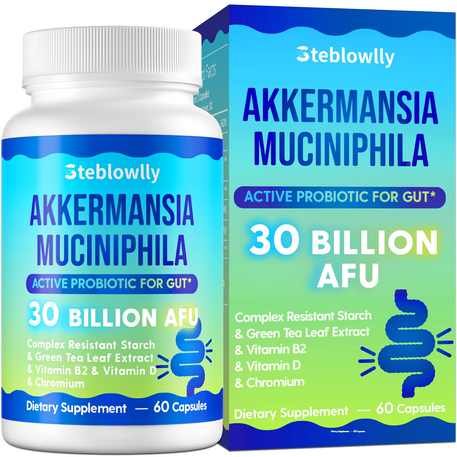 Steblowlly Akkermansia probiotic bottle for daily gut and immune support.