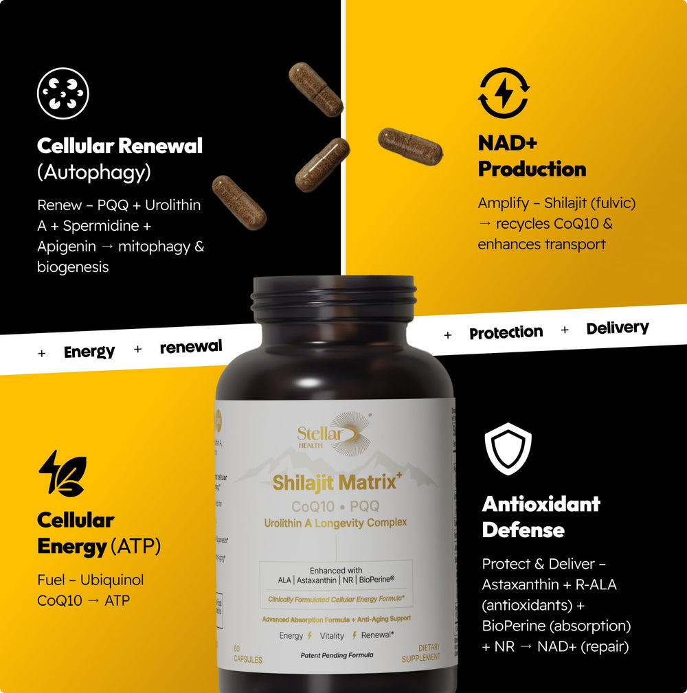 Label detail of Stellar Health Complex showing Shilajit and CoQ10 components