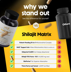 Shilajit visual illustration highlighting fulvic acids and mineral profile in Stellar Health