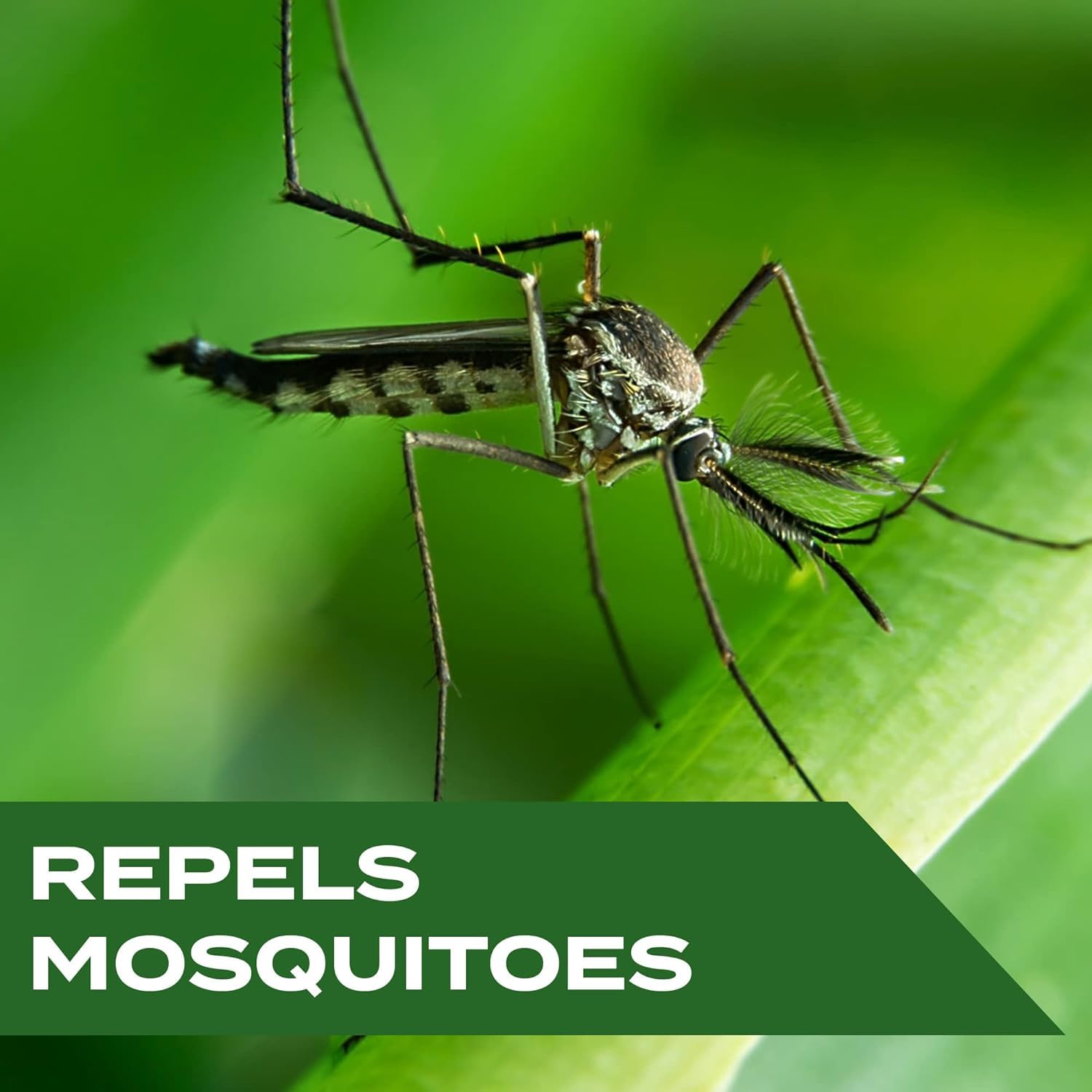 Stem Repels Mosquitoes wipes rooted in nature, optimized by science